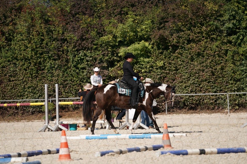 s_A_907821.JPG